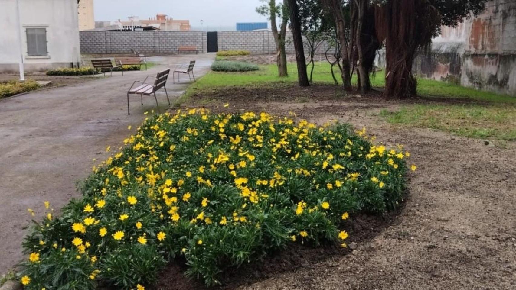 A Coruña sigue avanzando en la renovación del parque del Observatorio con más zonas verdes
