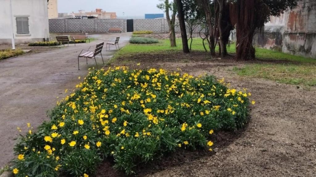 A Coruña sigue avanzando en la renovación del parque del Observatorio con más zonas verdes