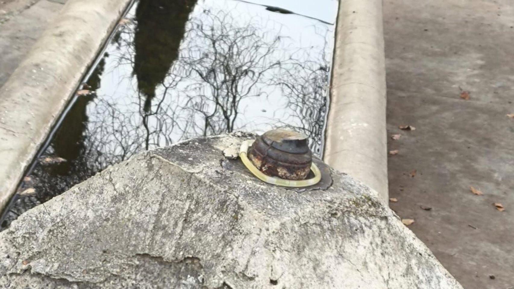 Fuente de la localidad de Collados donde ha sido sustraída la piña bicentenaria.