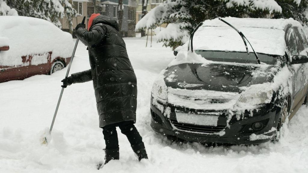 Imagen de una nevada.