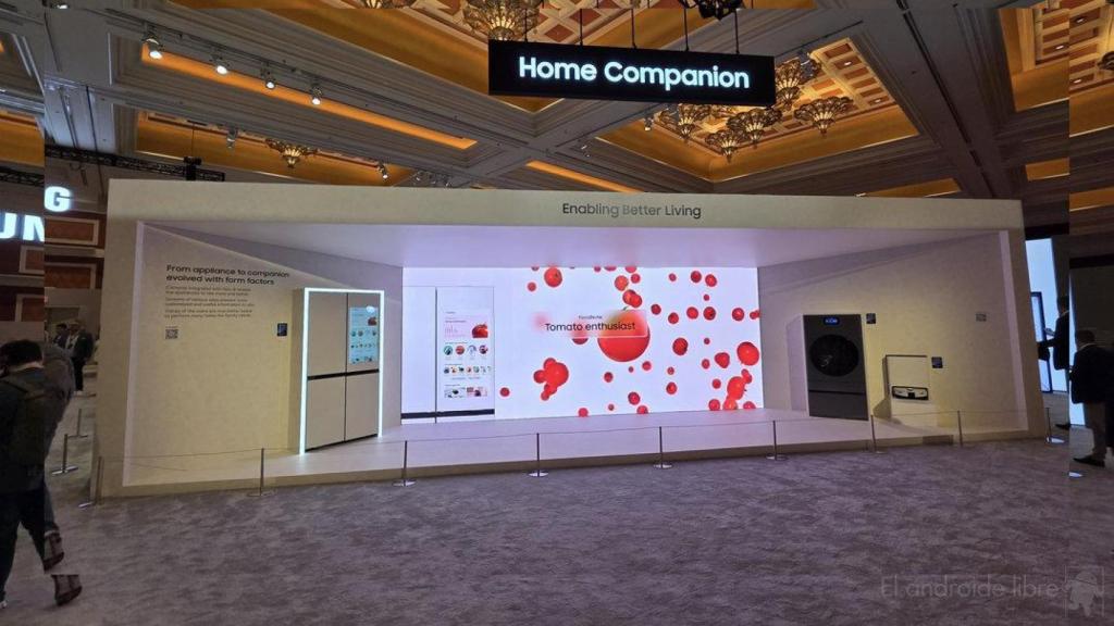 Evento The First Look