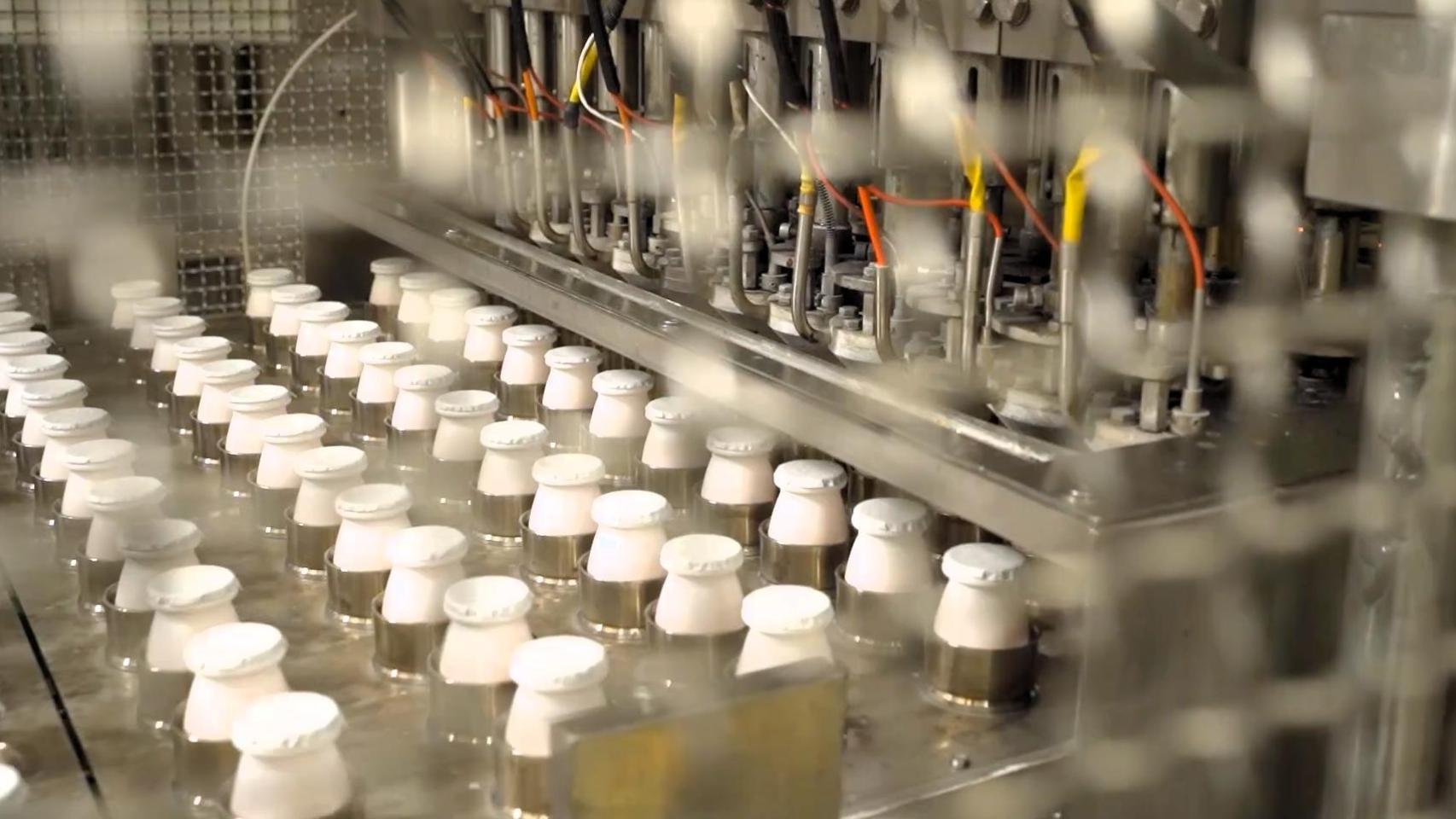 El corazón del yogur está en Valencia: así late el gran motor lácteo de Danone