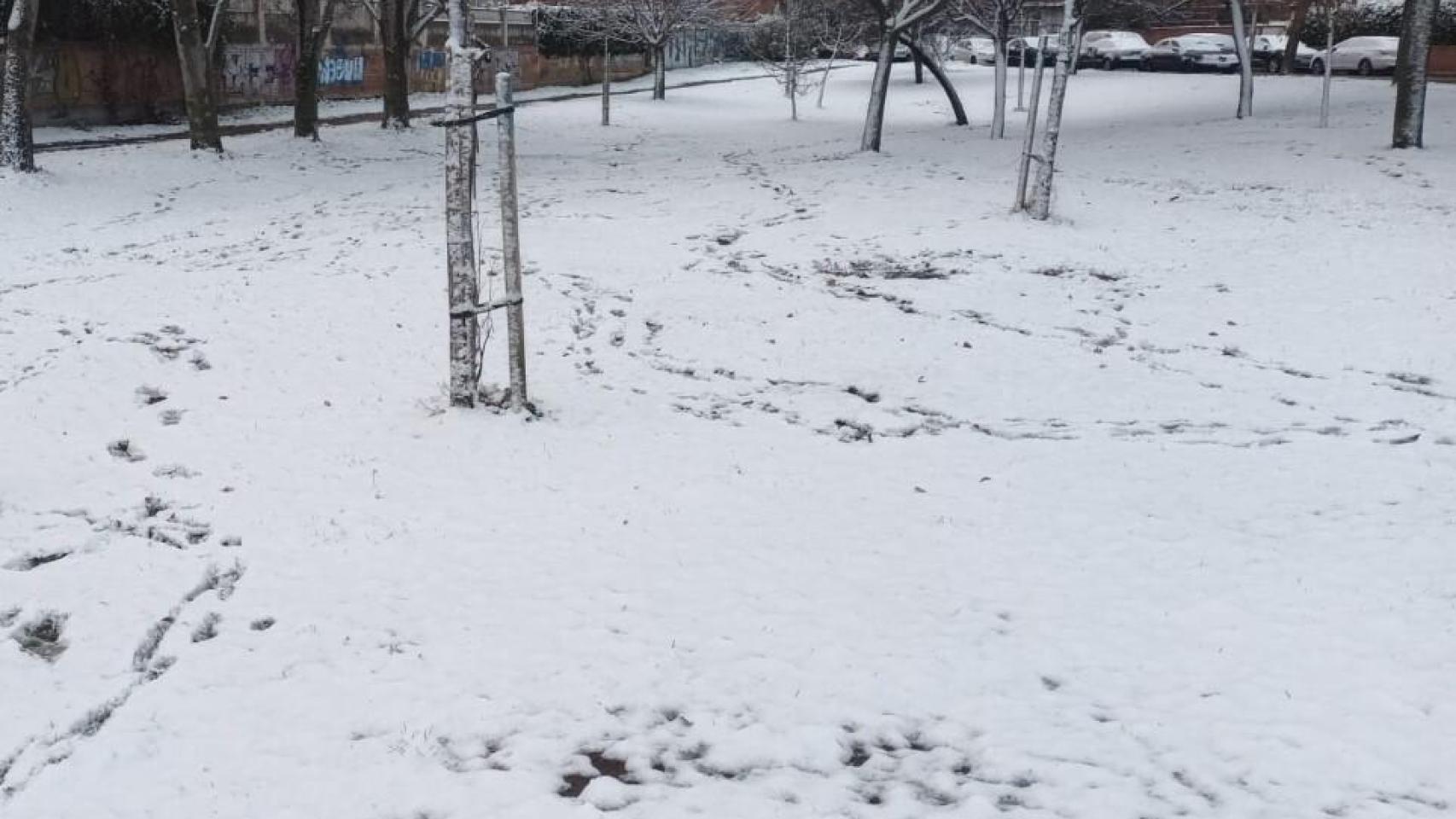 Un parque de Madrid completamente nevado.