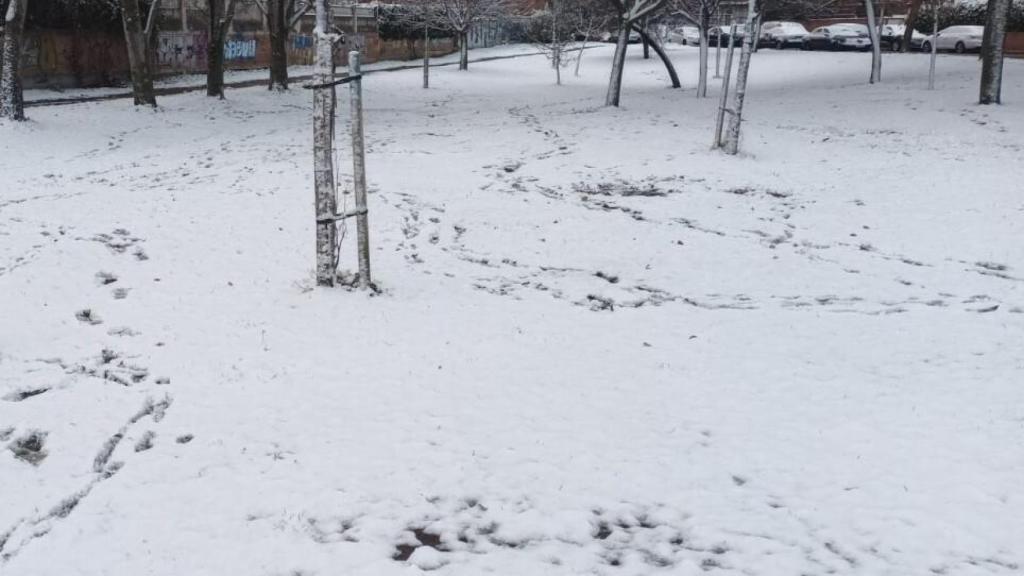 Un parque de Madrid completamente nevado.