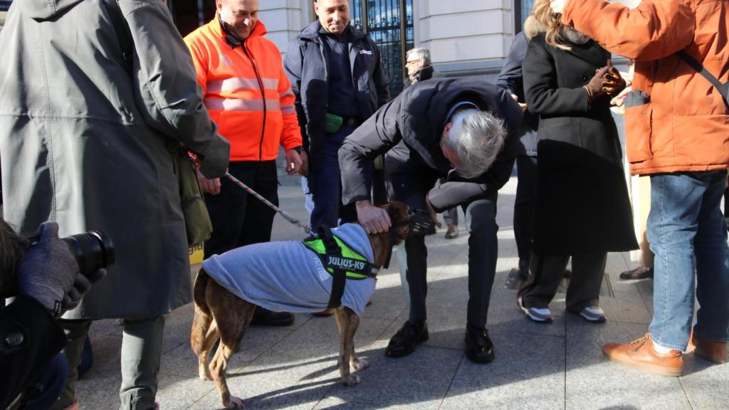 Azcón, en su visita a una campaña para promover las adopciones de animales