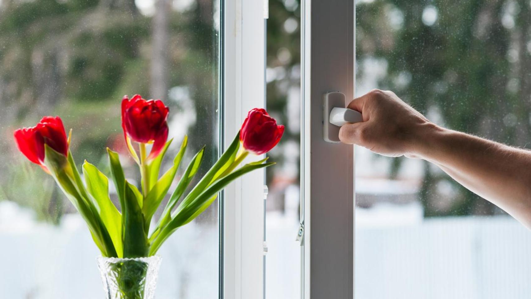 Una ventana entreabierta.