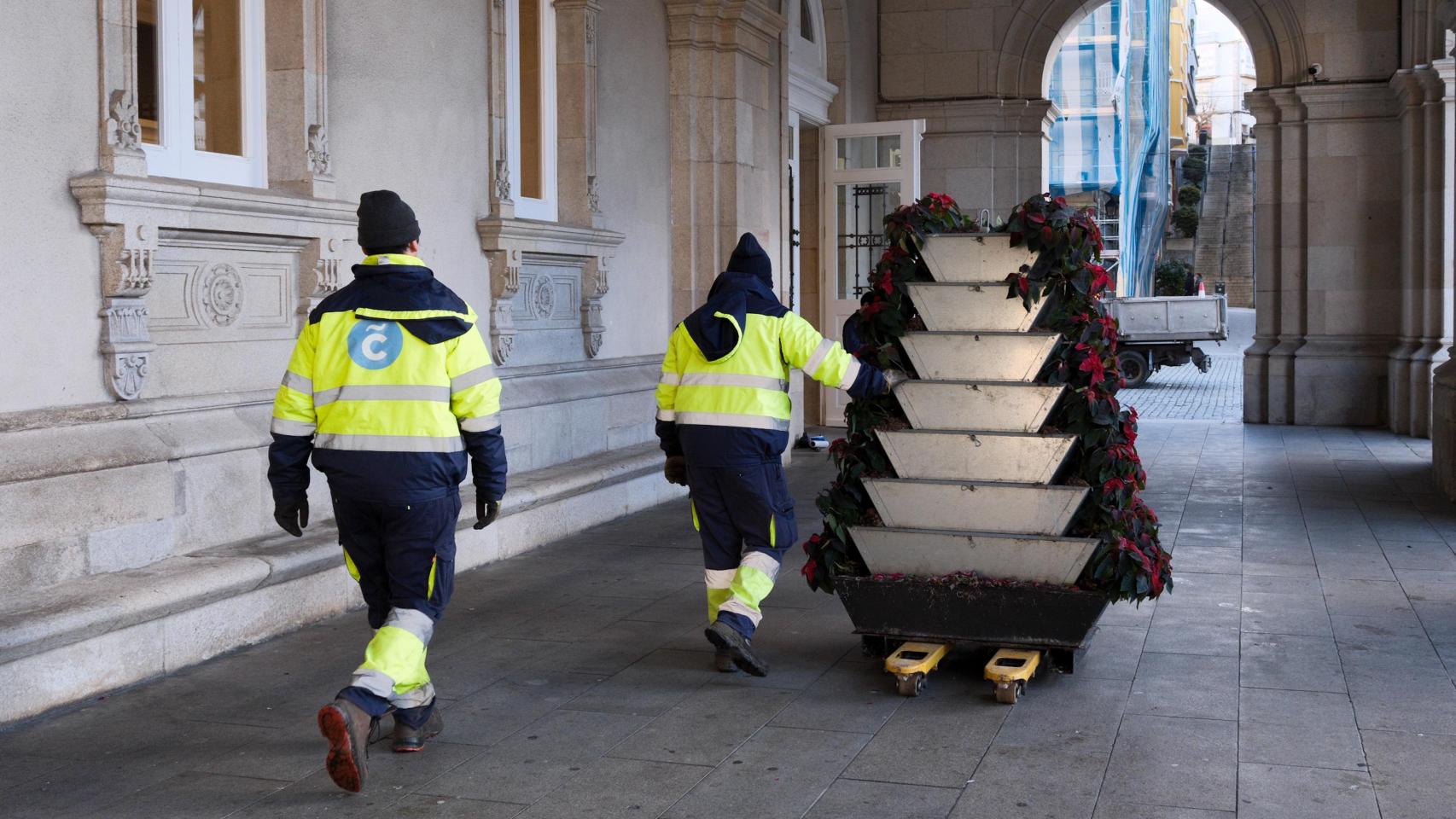 Trabajadores retiran las flores de Navidad de la plaza de María Pita.