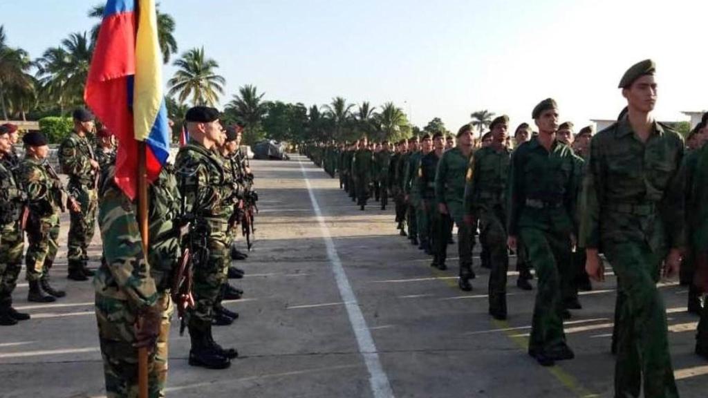 Imagen de archivo de un grupo de las avispas negras cubanas en Venezuela.