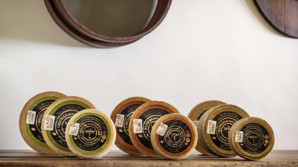 El queso de oveja semicurado, curado y reserva, de Dehesa de Los Llanos.