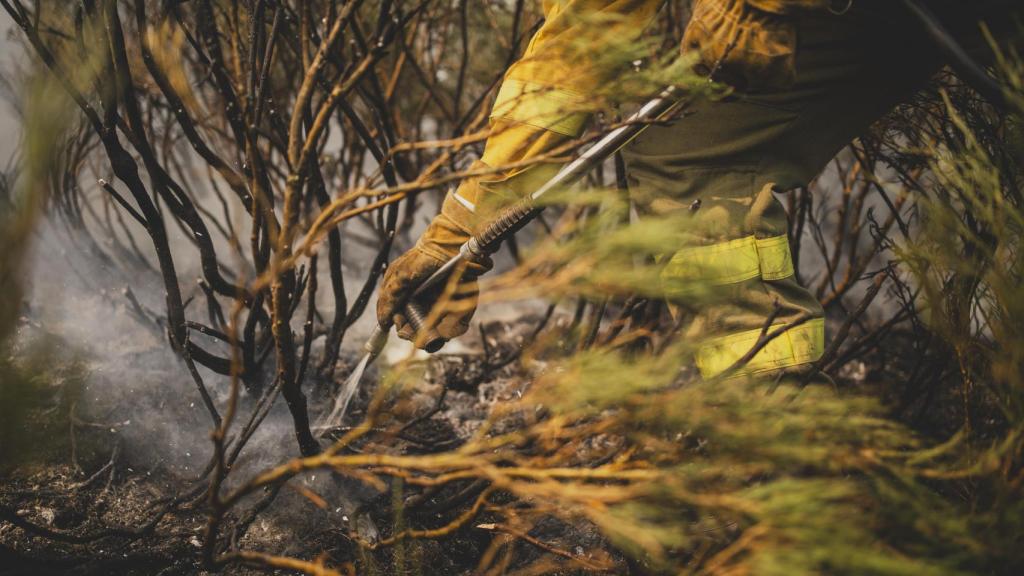 Labores de enfriamiento de raíces y turberas, el trabajo invisible que evita que el monte respire humo días después.