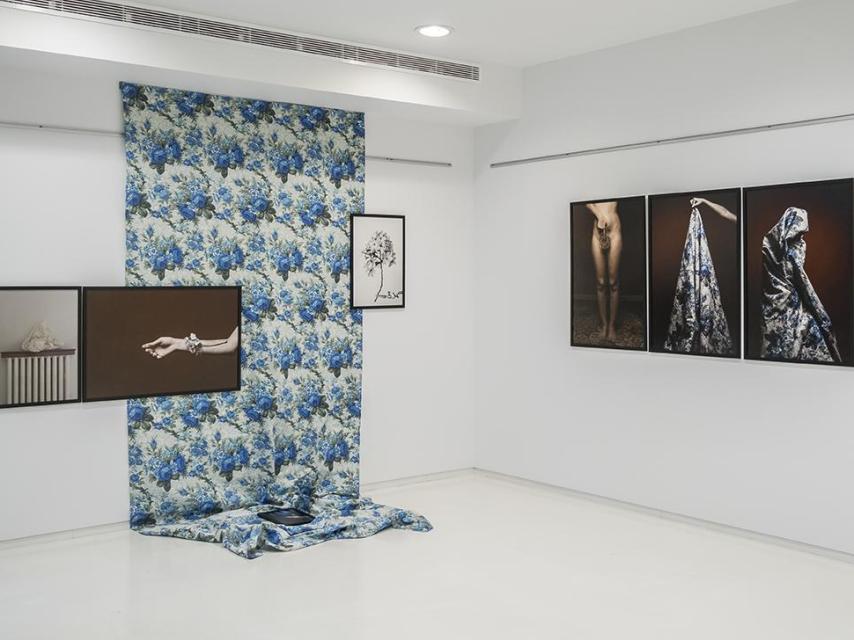 Creaciones de Tamara Wassaf.