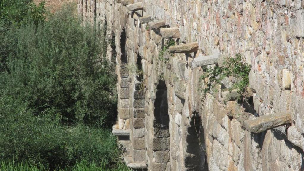 Vegetación en el Puente Romano de Salamanca