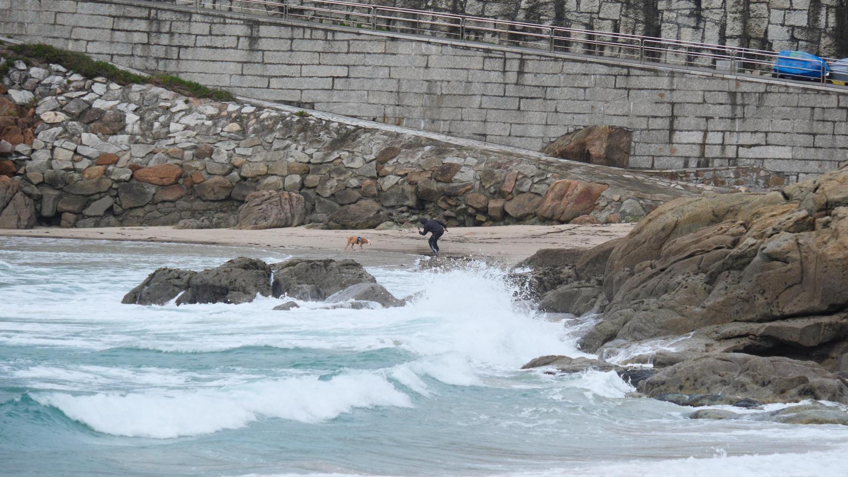 Un ciudadano con un perro a orillas de la playa.