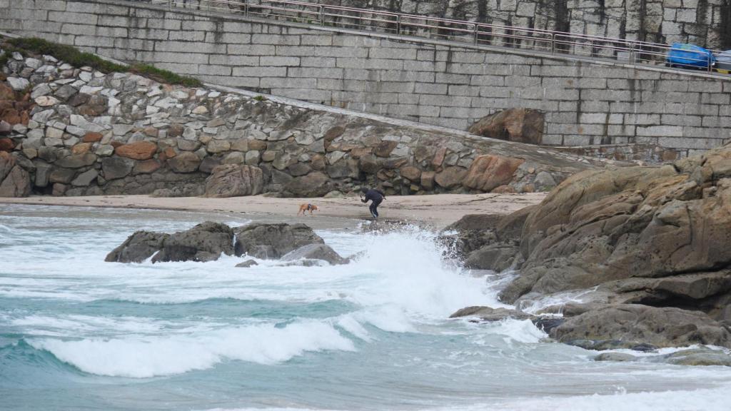 Un ciudadano con un perro a orillas de la playa.
