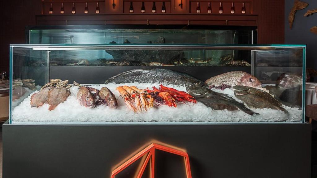 La vitirina de pescado con la que recibe Aleteo.