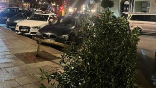 Un árbol roto en la calle Alfredo Vicenti
