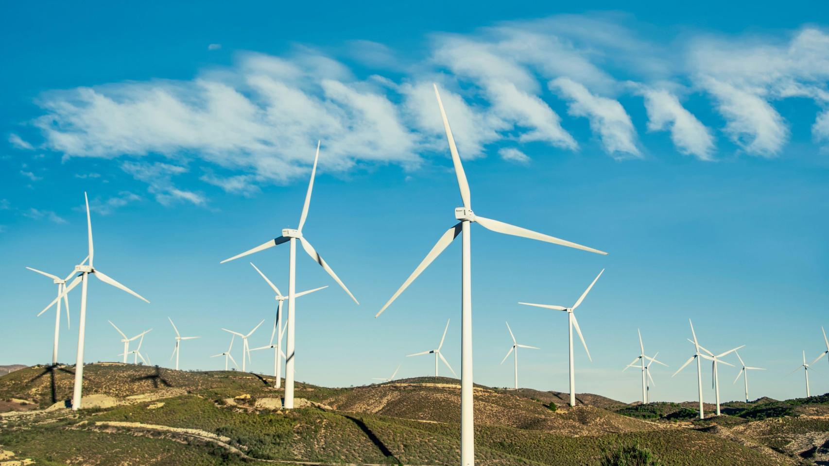 Parque eólico