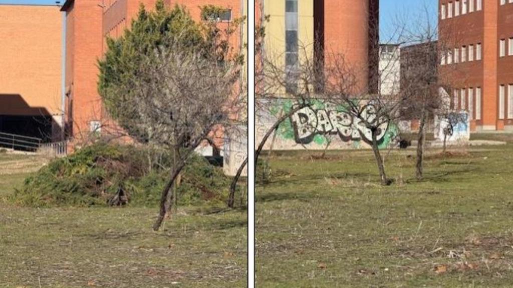 Imágenes facilitadas por el Procurador del Común