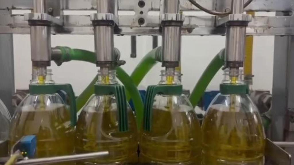 Aceite de la Almazara Alcober.