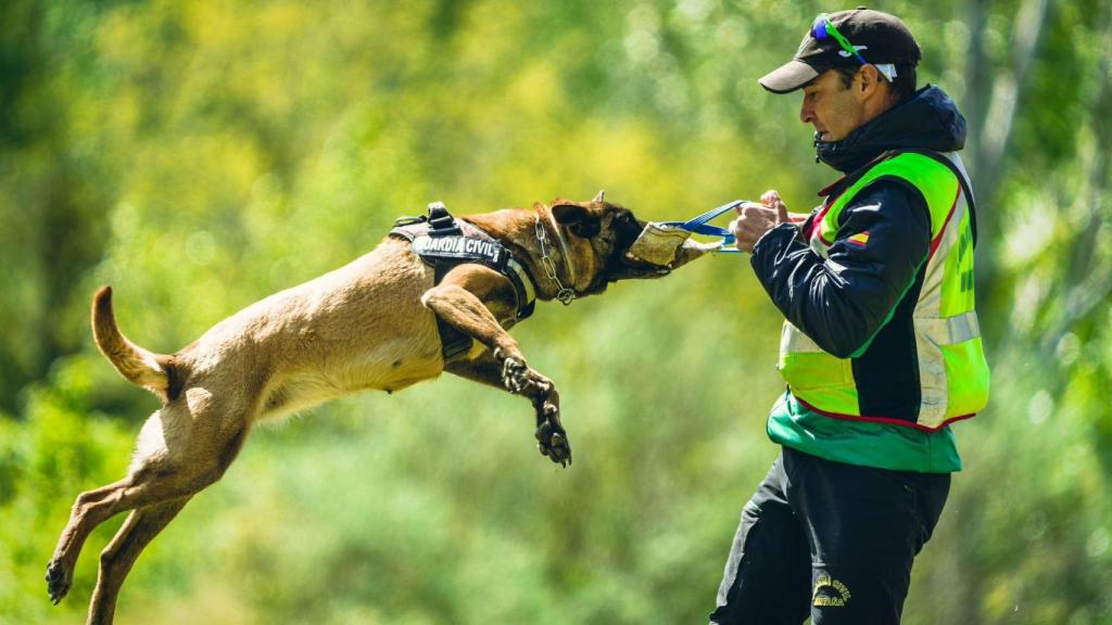 Kiko Navarro junto a su perra Unkar
