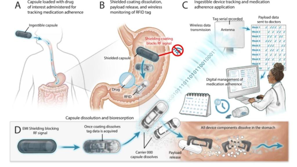 Esquema del funcionamiento de la pastilla inteligente.