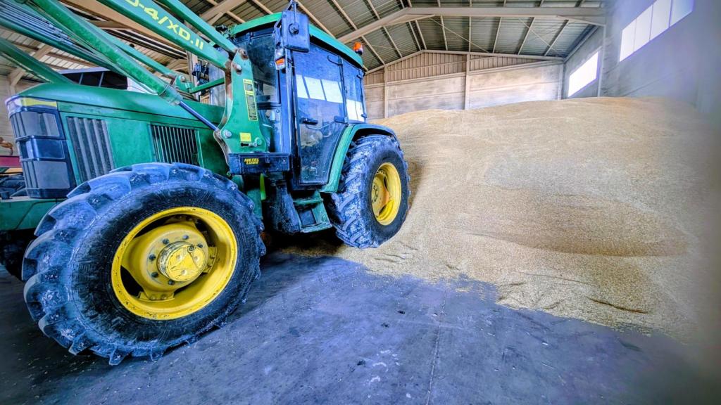 El almacen de cebada.