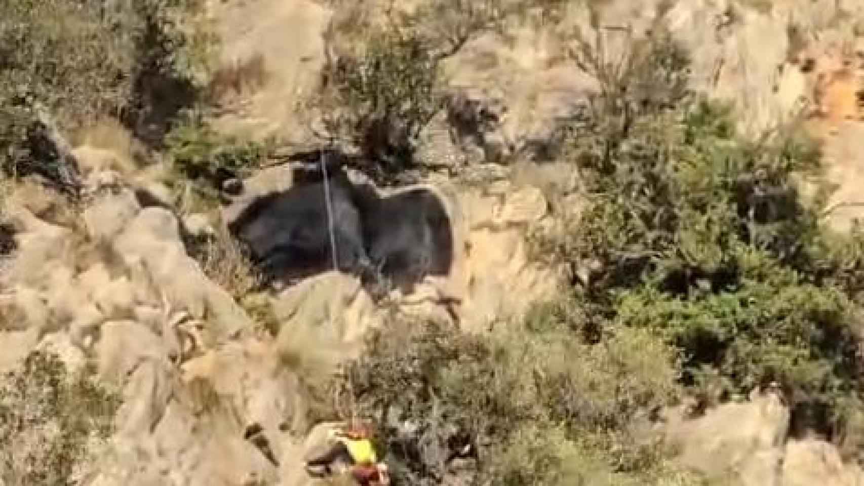 Una imagen del rescate del joven.