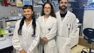 El IDIS de Santiago identifica nuevas claves sobre el aneurisma de aorta abdominal