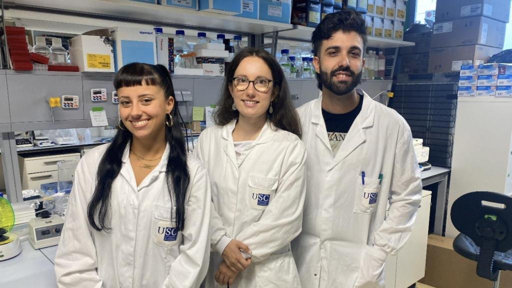 El IDIS de Santiago identifica nuevas claves sobre el aneurisma de aorta abdominal