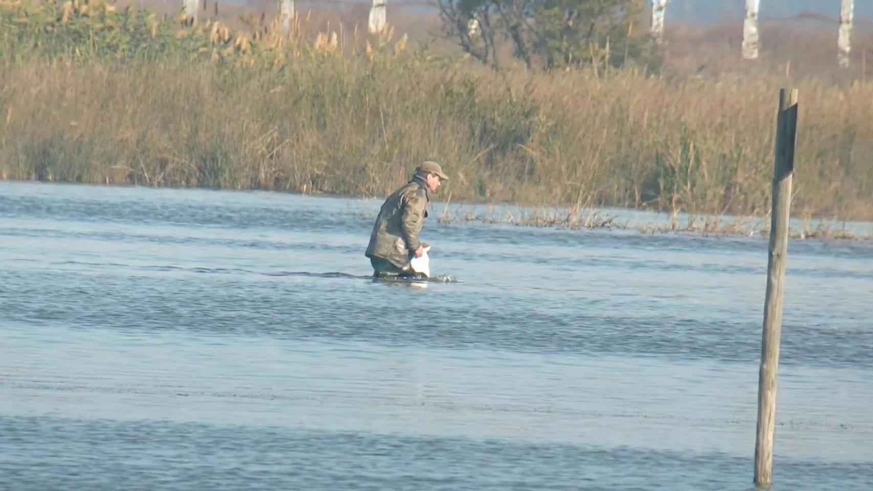 Hombre investigado por la muerte de una especie protegida en un coto de caza en Aznalcázar.