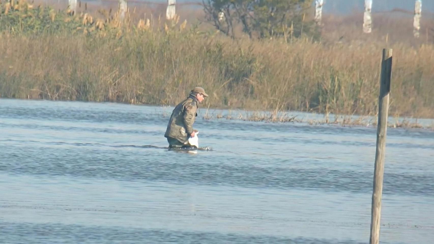 Hombre investigado por la muerte de una especie protegida en un coto de caza en Aznalcázar.