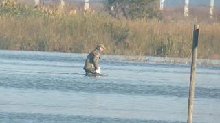 Hombre investigado por la muerte de una especie protegida en un coto de caza en Aznalcázar.