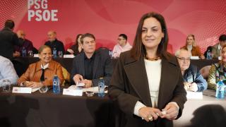 El secretario general del PSdeG y portavoz del Grupo Socialista en el Parlamento de Galicia, José Ramón Gómez Besteiro (2i), y la presidenta de la Diputación de Lugo, Carmela López (d), durante la reunión del Comité Nacional del Partido Socialista.