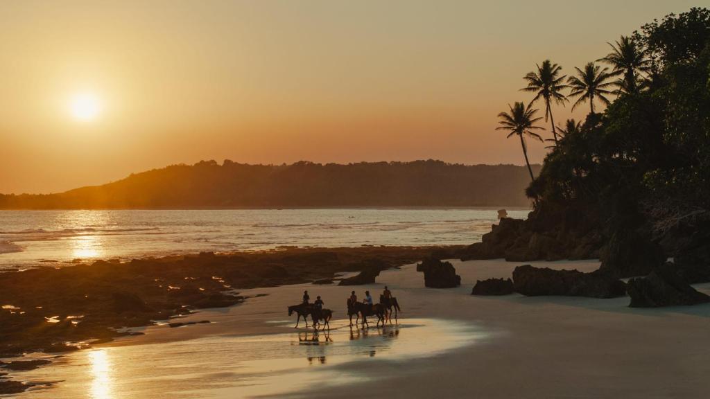 Los caballos son el alma de Sumba.