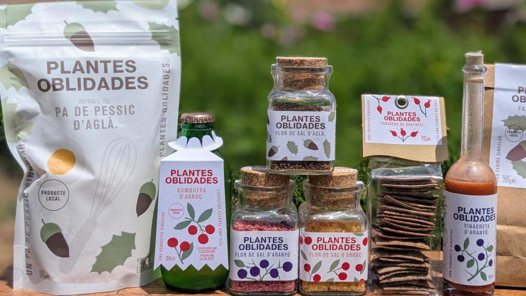 Una selección de los productos elaborados por el proyecto Plantas Olvidadas.