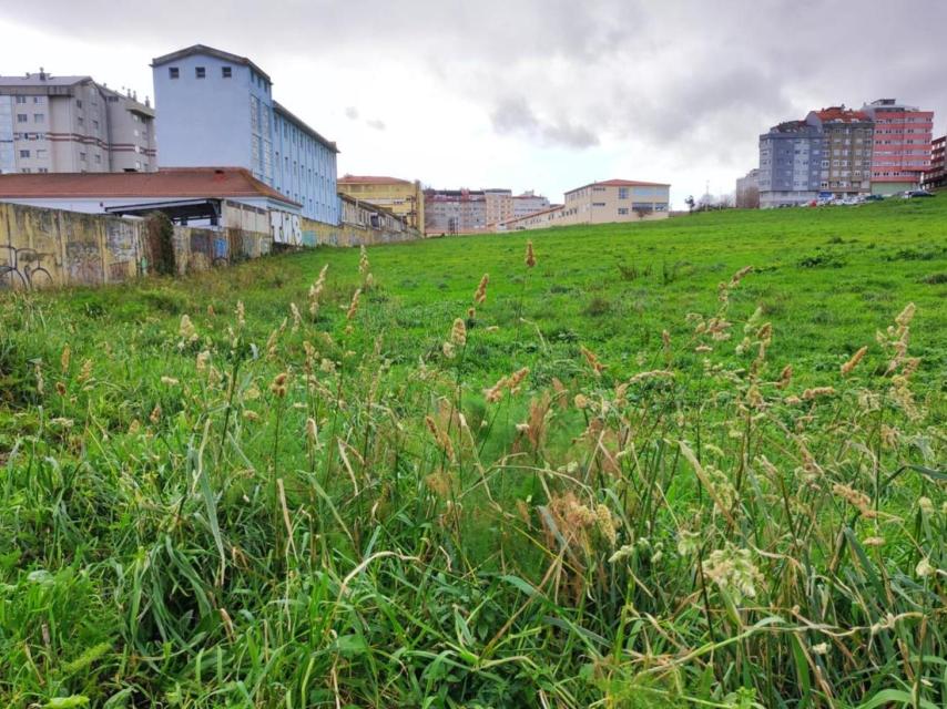 Parcelas de As Percebeiras, con el barrio de Labañou al fondo.