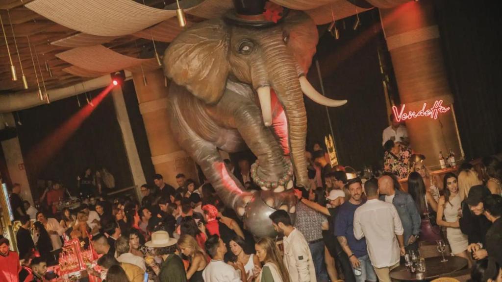 Show Vendetta del restaurante Fanático.