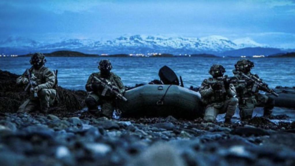 Marines de la Royal Navy