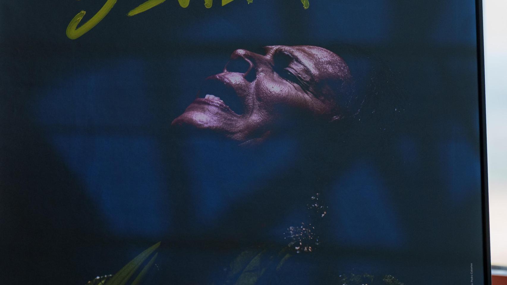 Imagen del cartel de la Bienal de Flamenco.