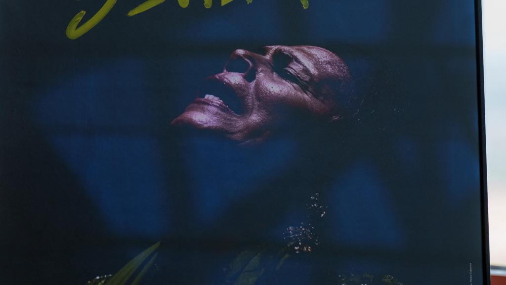 Imagen del cartel de la Bienal de Flamenco.