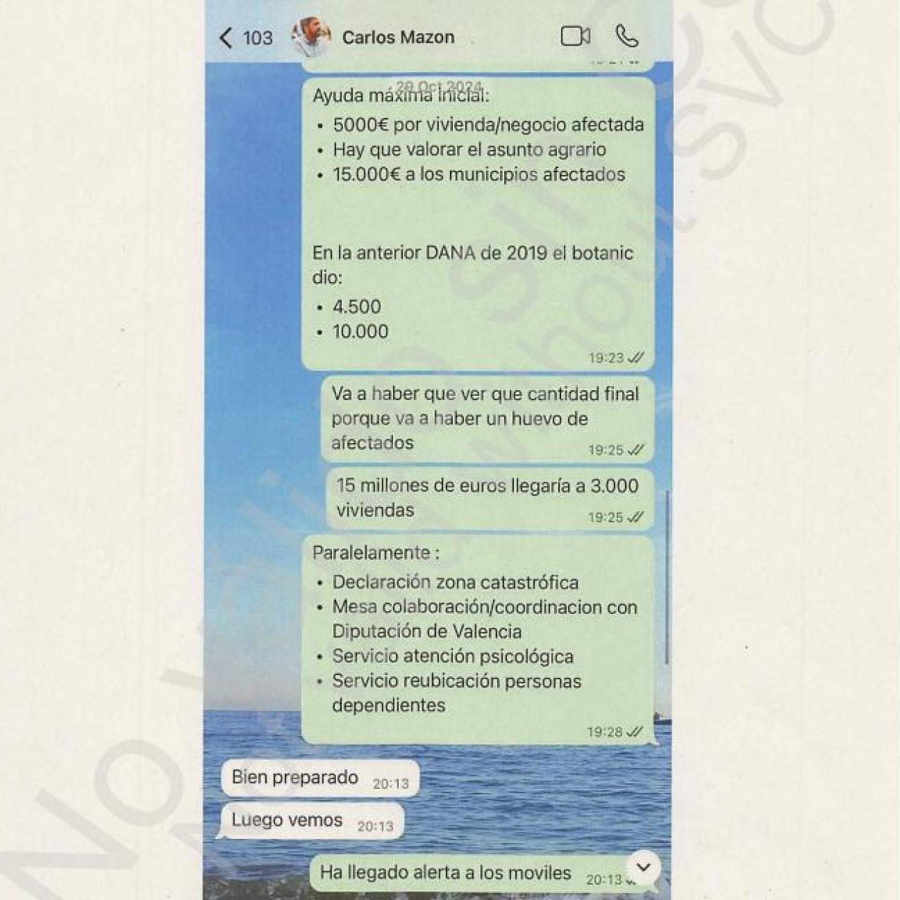 Captura de la conversación entre Cayetano García y Carlos Mazón. EE