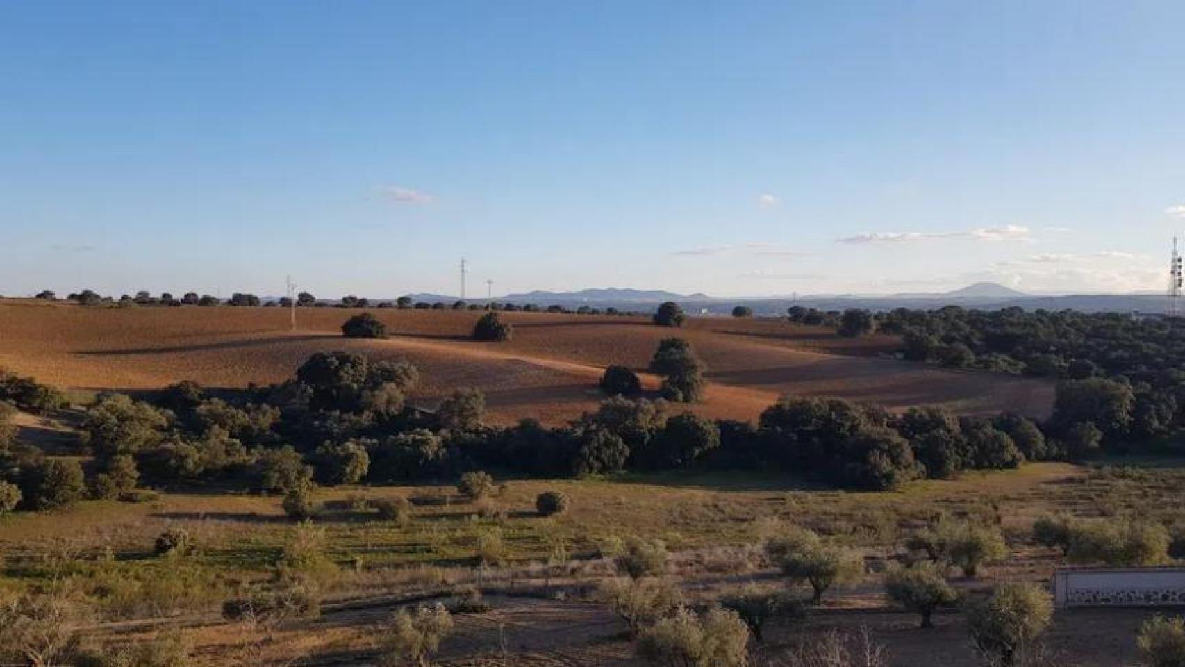 Imagen que acompaña al anuncio publicado en la el portal Idealista.