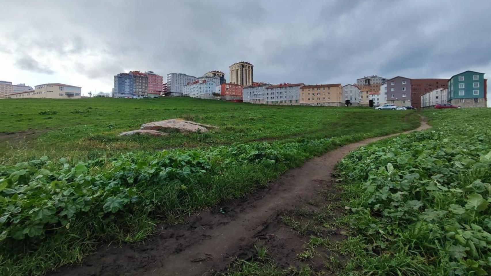 Un camino de tierra cruza la parcela de As Percebeiras en Labañou.
