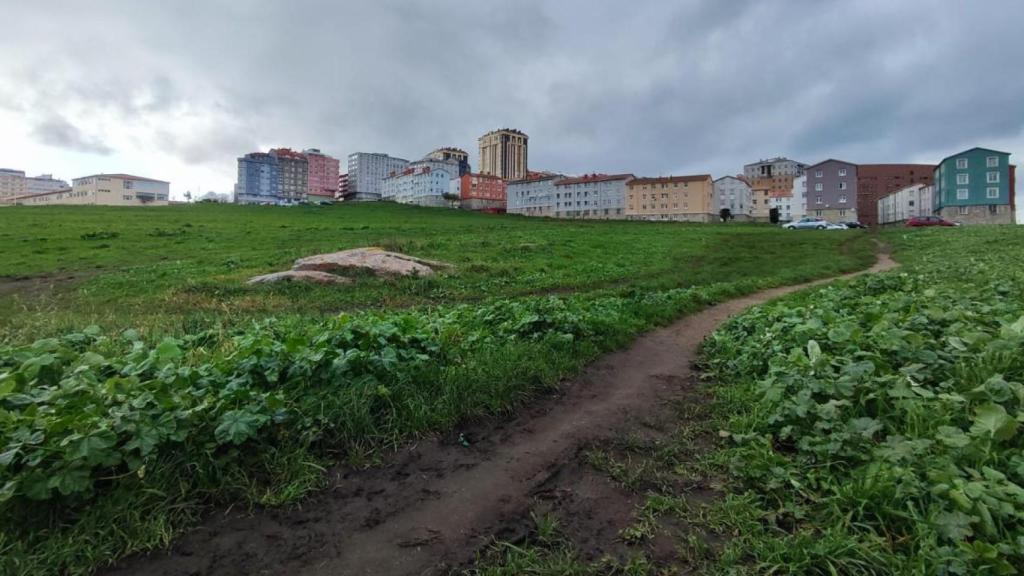 Un camino de tierra cruza la parcela de As Percebeiras en Labañou.