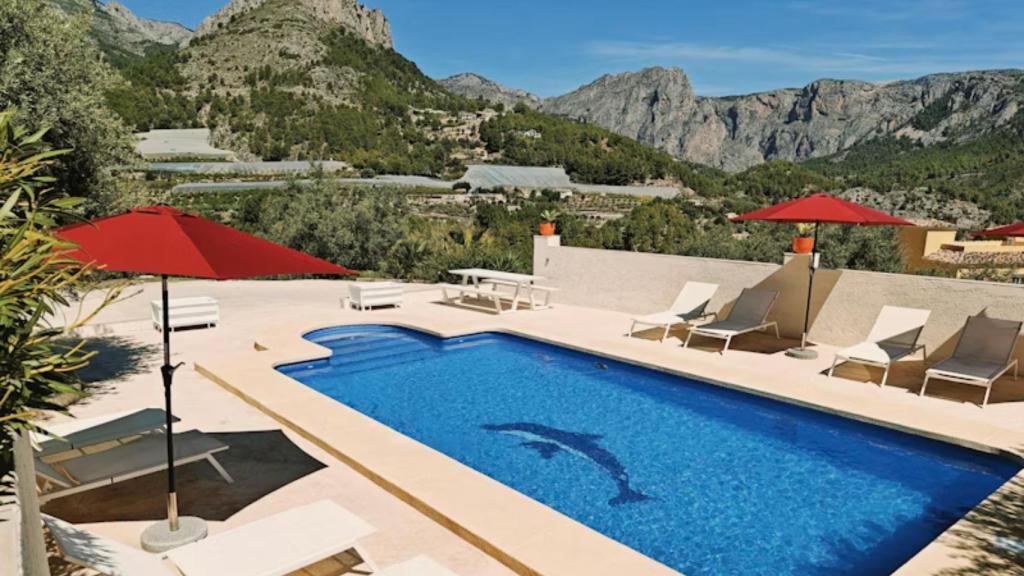 Una de las piscinas disponibles en Cocopool en Alicante