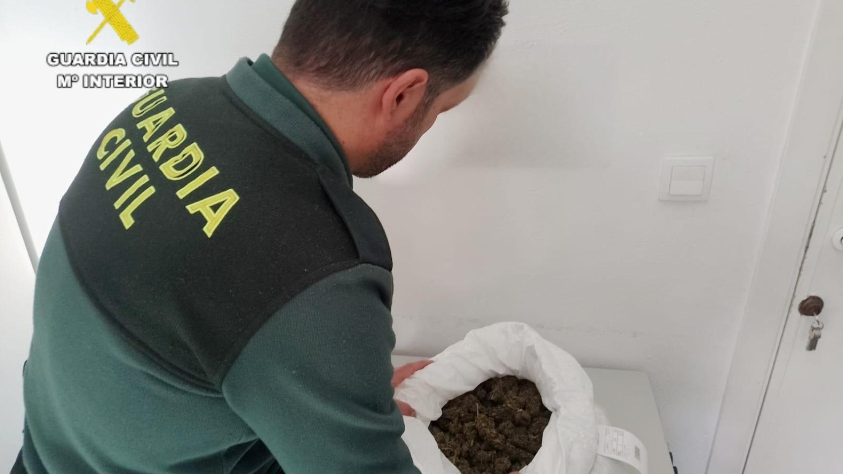 Un agente de la Guardia Civil con los cogollos de marihuana.