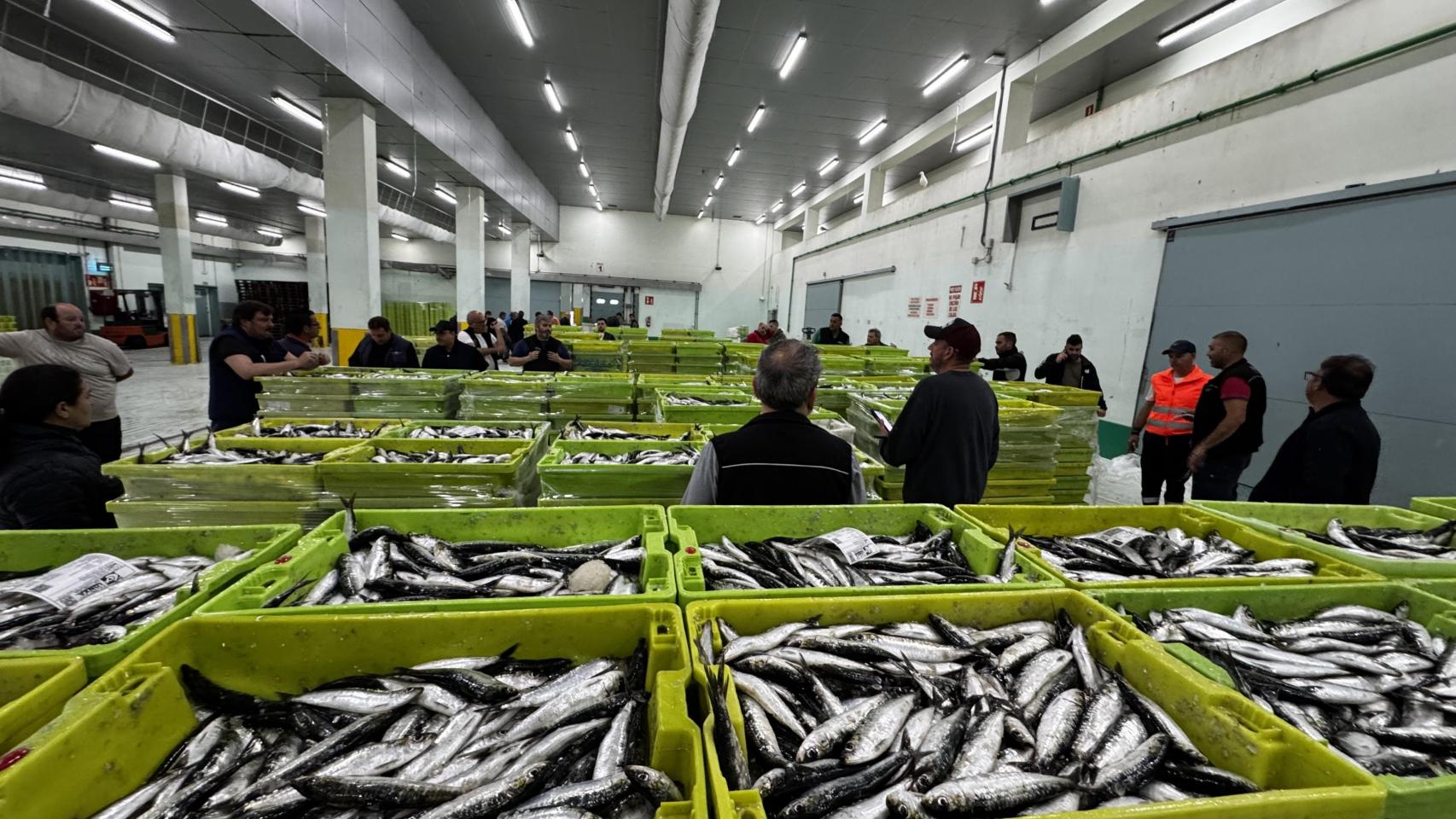 Pescado descargado en la lonja de A Coruña.
