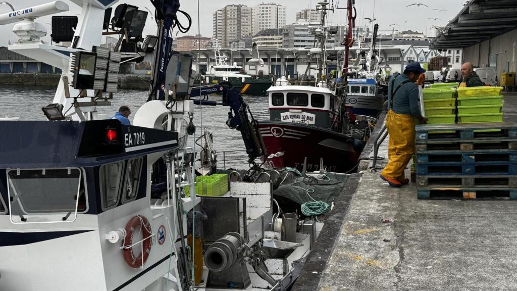 Descargas de pescado en el puerto de A Coruña.