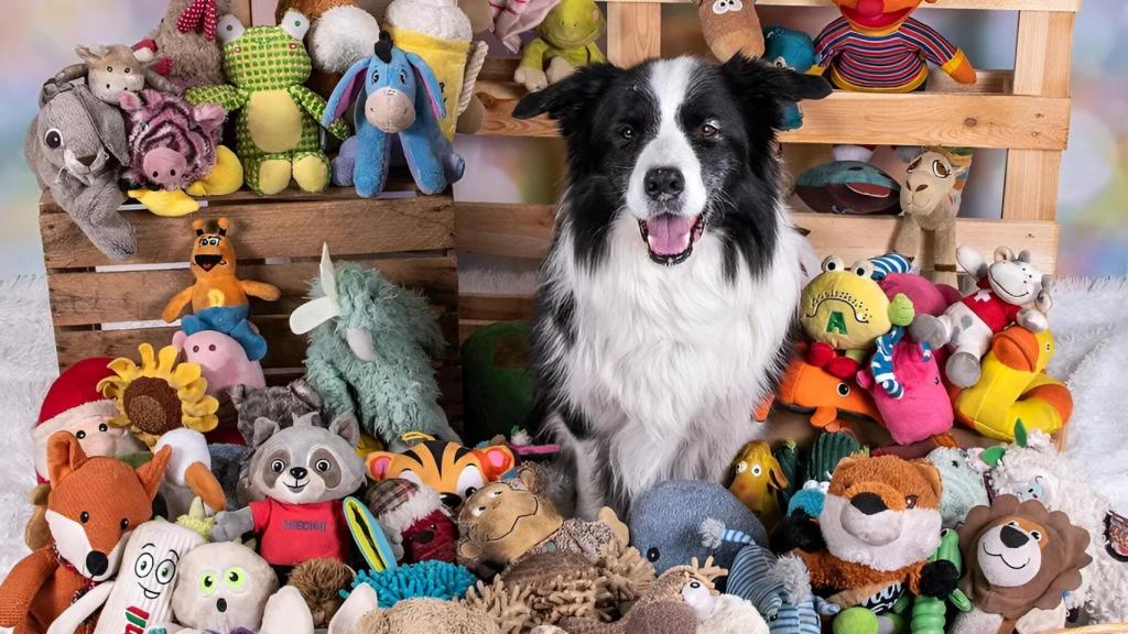 El perro Raffy, de nueve años, es capaz de identificar muchos de sus juguetes.