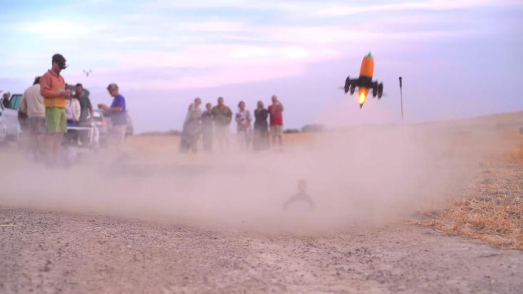 Peregreen alzando el vuelo.